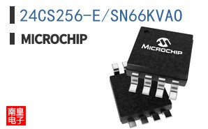 24CS256-E/SN66KVAO
