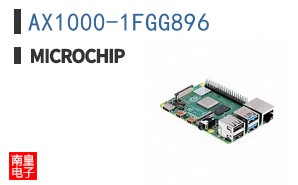 AX1000-1FGG896