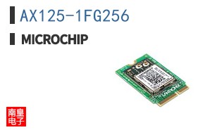AX125-1FG256