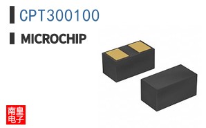 CPT300100