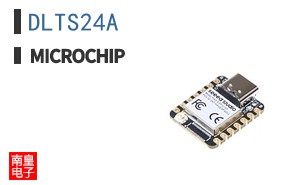 DLTS24A