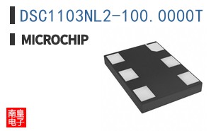 DSC1103NL2-100.0000T
