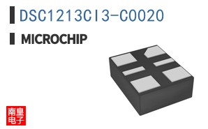 DSC1213CI3-C0020