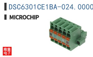 DSC6301CE1BA-024.0000