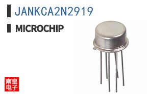 JANKCA2N2919
