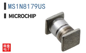 MS1N8179US