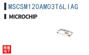 MSCSM120AM03T6LIAG