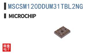 MSCSM120DDUM31TBL2NG