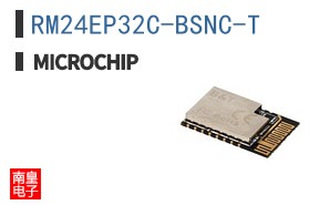 RM24EP32C-BSNC-T