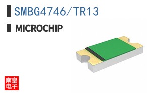 SMBG4746/TR13