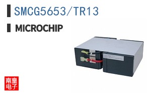 SMCG5653/TR13