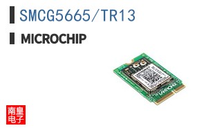 SMCG5665/TR13