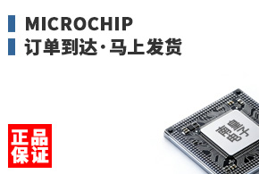 Microchip ����������Ϸ���
